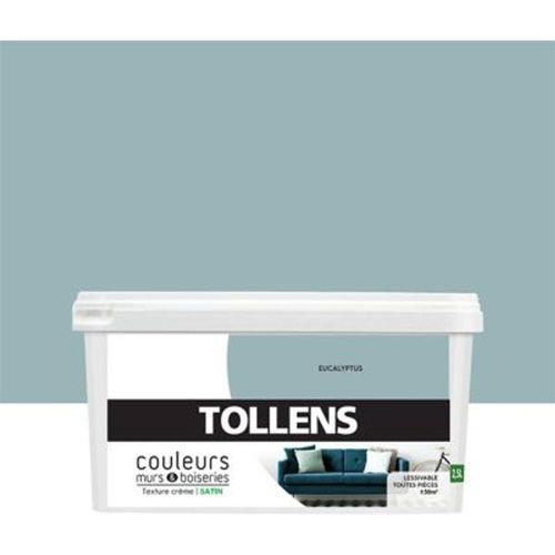 Peinture murs et boiseries Tollens eucalyptus satin 2 5L