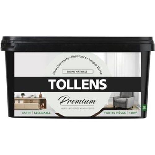 Peinture Tollens premium murs  boiseries et radiateurs brume matinale satin 2 5L