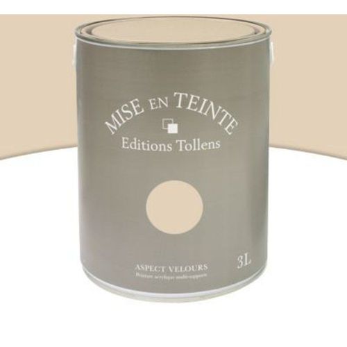 Peinture murs et boiseries Tollens Mise en teinte caf? au lait mat velours 3L