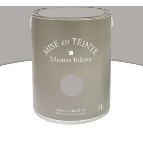 Peinture murs et boiseries Tollens Mise en teinte granit mat velours 3L