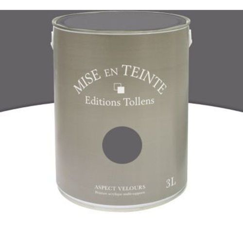 Peinture murs et boiseries Tollens Mise en teinte zinc mat velours 3L
