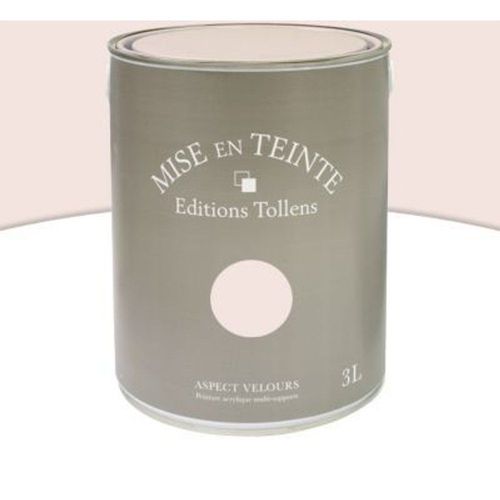 Peinture murs et boiseries Tollens Mise en teinte gr?ge mat velours 3L