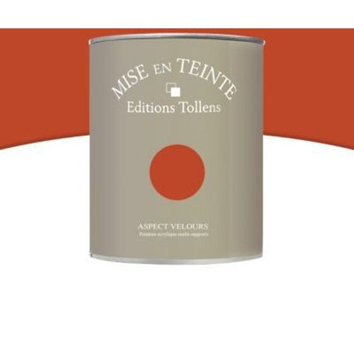 Peinture murs et boiseries Tollens Mise en teinte caramel br?le mat velours 1L