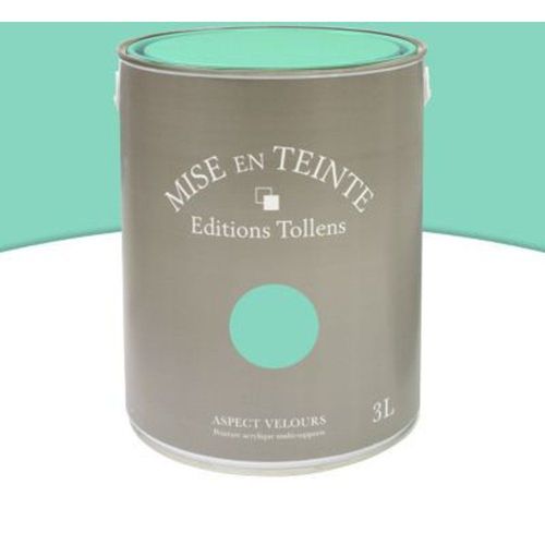 Peinture murs et boiseries Tollens Mise en teinte paille mat velours 3L