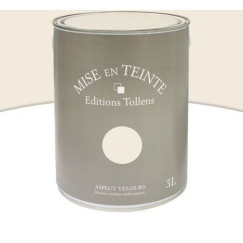 Peinture murs et boiseries Tollens Mise en teinte ceruse mat velours 3L