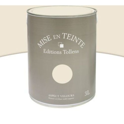 Peinture murs et boiseries Tollens Mise en teinte parchemin mat velours 3L