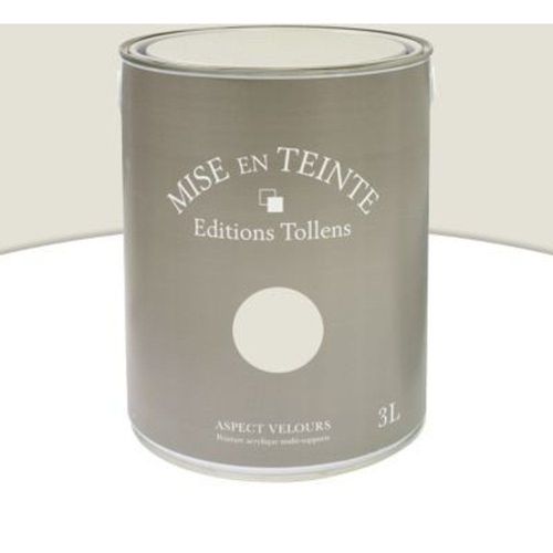 Peinture murs et boiseries Tollens Mise en teinte lin mat velours 3L