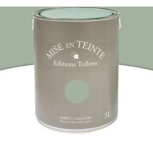 Peinture murs et boiseries Tollens Mise en teinte vert veronese mat velours 3L