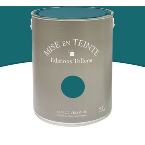 Peinture murs et boiseries Tollens Mise en teinte vert empire mat velours 3L