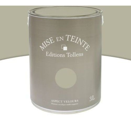 Peinture murs et boiseries Tollens Mise en teinte eucalyptus mat velours 3L