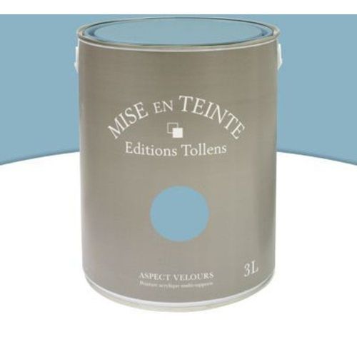 Peinture murs et boiseries Tollens Mise en teinte bleu r?tro mat velours 3L