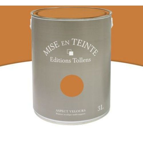 Peinture murs et boiseries Tollens Mise en teinte cuir mat velours 3L