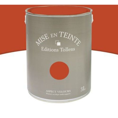 Peinture murs et boiseries Tollens Mise en teinte caramel br?l? mat velours 3L