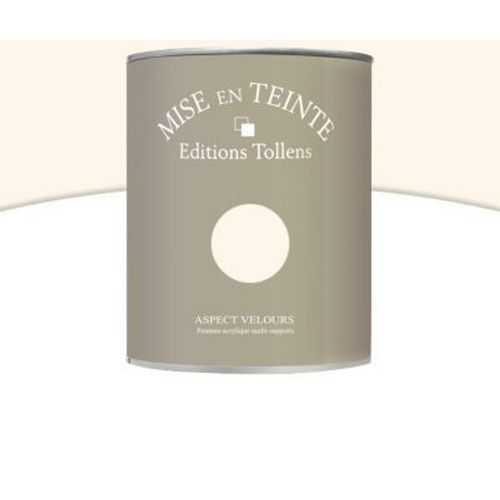 Peinture murs et boiseries Tollens Mise en teinte porcelaine mat velours 1L