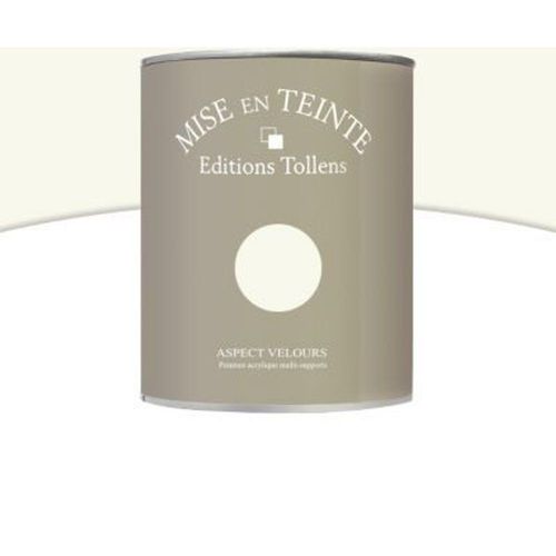 Peinture murs et boiseries Tollens Mise en teinte gingembre mat velours 1L