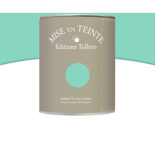 Peinture murs et boiseries Tollens Mise en teinte paille mat velours 1L
