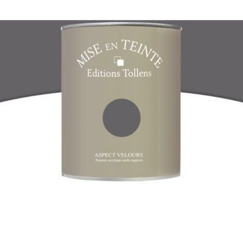 Peinture murs et boiseries Tollens Mise en teinte zinc mat velours 1L
