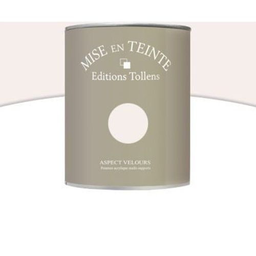 Peinture murs et boiseries Tollens Mise en teinte bois flott? mat velours 1L