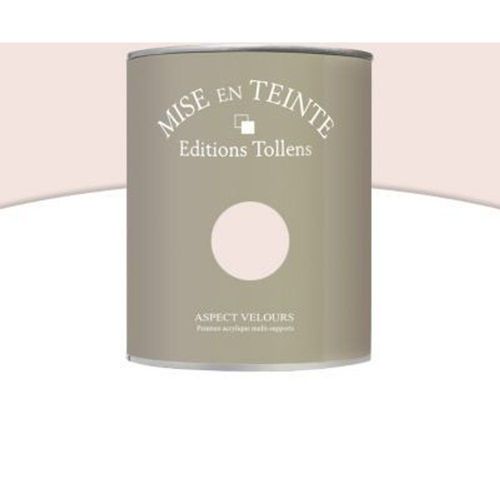 Peinture murs et boiseries Tollens Mise en teinte gr?ge mat velours 1L