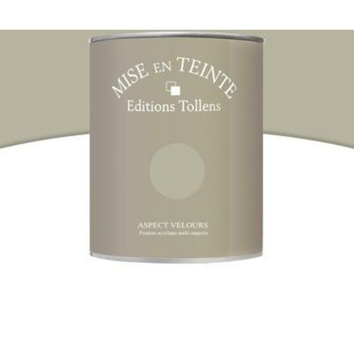Peinture murs et boiseries Tollens Mise en teinte eucalyptus mat velours 1L