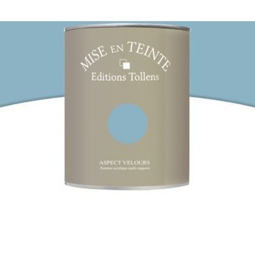 Peinture murs et boiseries Tollens Mise en teinte bleu r?tro mat velours 1L