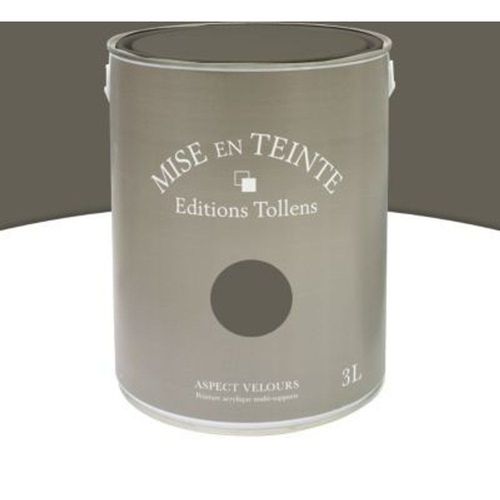 Peinture murs et boiseries Tollens Mise en teinte crepuscule mat velours 3L