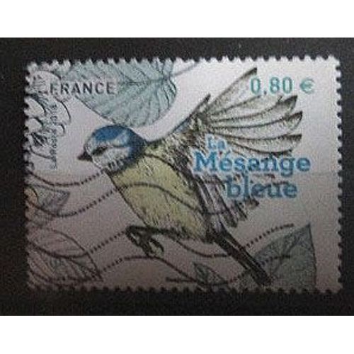 2018. F5238: Mésange Bleue.