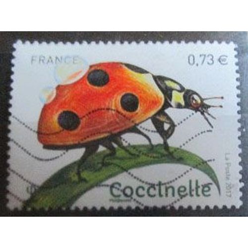 2017. F5147: Coccinelle