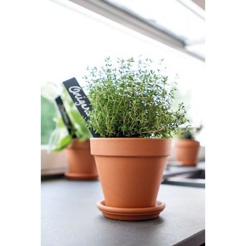 Soucoupe Terre Cuite Pour Pot Verve Laleh - 11 2 Cm