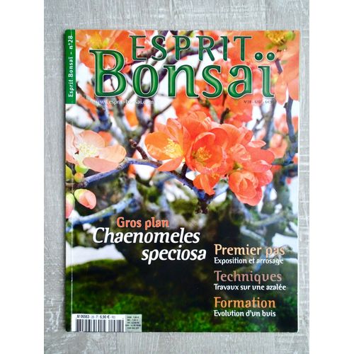 Esprit Bonsaï N°28