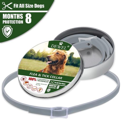 Collier Anti-Tiques Et Anti-Moustiques, 8 Mois De Protection Imperméable Et Durable Pour Chien, Chiot, Chat, Personnalisé