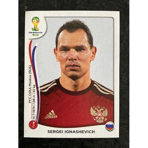 Image Panini - Fifa World Cup 2014 - N°605 Sergei Ignashevich