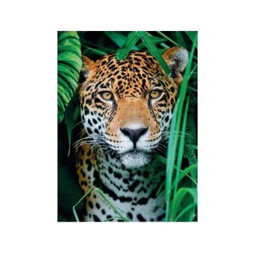 Puzzle Jaguar Dans La Foret - 500 Pieces Collection Animaux Sauvages