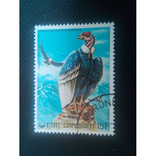 Timbre Comores Yt 170 Condor Des Andes (Vultur Gryphus) 1976 (070206)