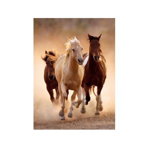 Puzzle Adulte - Chevaux Qui Courent En Liberte - 1000 Pieces - Clementoni - Collection Animaux