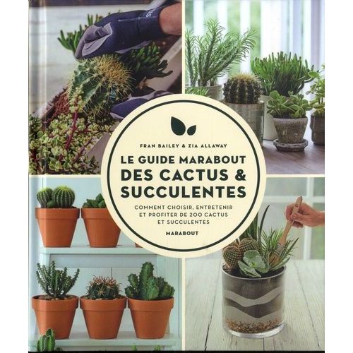 Le Guide Marabout Des Cactus Et Succulentes