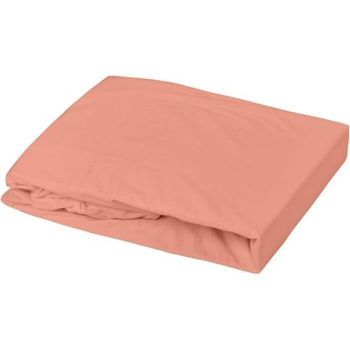 Domiva Drap Housse - 60 X 120 Cm - Jersey - Terracotta