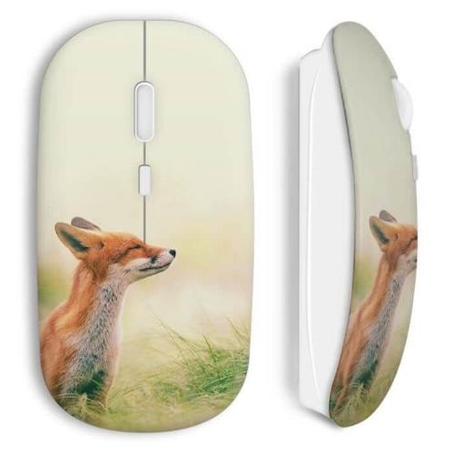 Souris Sans Fil Cute fox renard