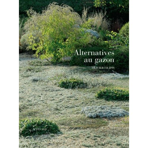Alternatives Au Gazon
