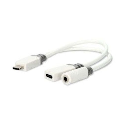 Nedis Ccbw64922wt01 Câble Vidéo Et Adaptateur 0,1 M Usb Type-c Usb Ty