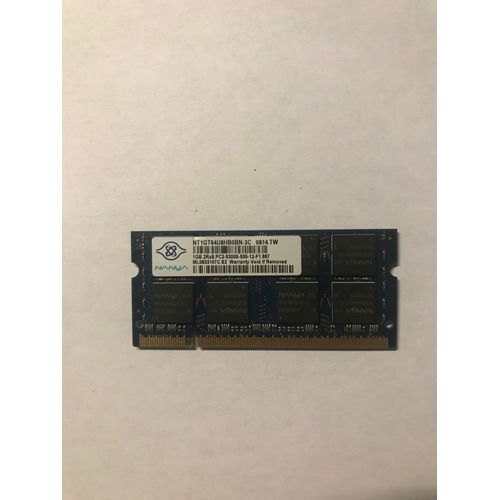 Memoire Nanya 1GB 2Rx8 Pc2-5300S-555-12-F1-667