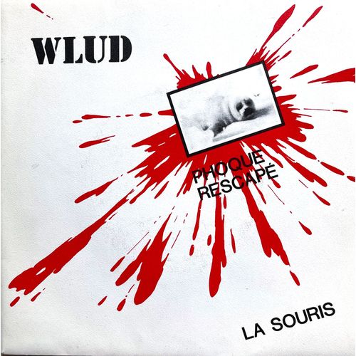 Wlud Phoque Rescapé