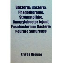 Bacterie: Bacteria, Phagotherapie, Stromatolithe, Campylobacter Jejuni, Fusobacterium, Bacterie Pourpre Sulfureuse.