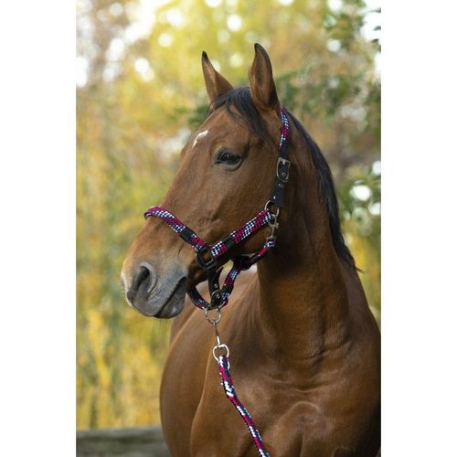 Licol + Longe Norton "Tressé" Fuchsia/Bleu Ciel/Marine, Taille : Cheval