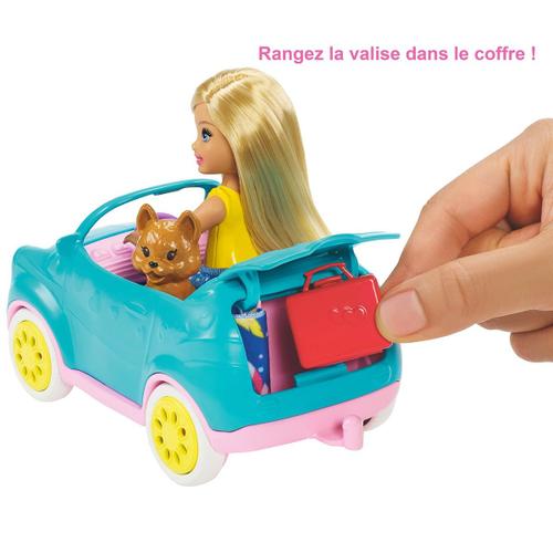 Poupée Mannequin - Barbie et Chelsea Anniversaire MATTEL : le
