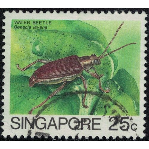 Singapour 1988 Oblitéré Used Insecte Donacia Javana Y&t Sg 459a Su