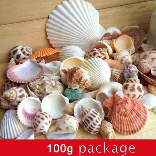 Coquillages De Mer Mixtes Naturels Pour Aquarium, Accessoires De Décoration, O7e6