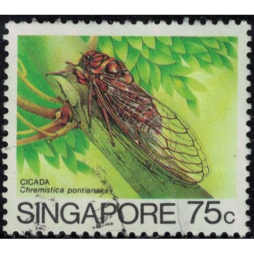 Singapour 1989 Oblitéré Used Insecte Chremistica Pontianaka Su