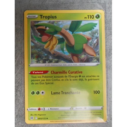 Tropius 005/172 - Eb9 - Stars Etincelantes - Vf