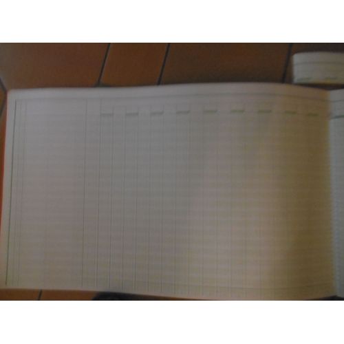 Registre Comptable 32x55cm 44 Colonnes Sur 2 Pages 35 Lignes Tete Paresseuse Exacompta 18440
